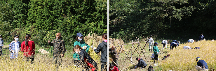 サービスラーニング報告 サービスラーニング報告