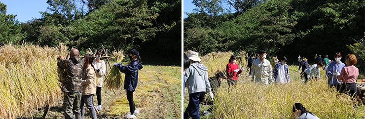 サービスラーニング報告 サービスラーニング報告