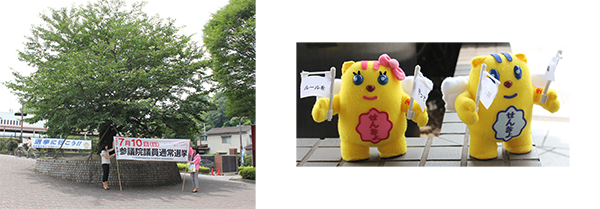 大分県による参議院議員選挙の投票啓発活動が行われました ニュース 大分県立芸術文化短期大学 芸術系 人文系をもつユニークな公立短大 芸術 文化系